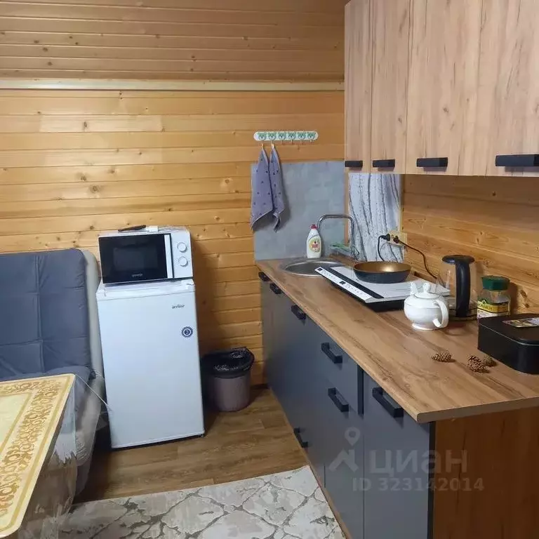 Дом в Карачаево-Черкесия, Зеленчукский район, с. Архыз  (30 м) - Фото 2