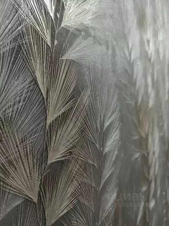 1-к кв. Белгородская область, Строитель Яковлевский городской округ, ... - Фото 2