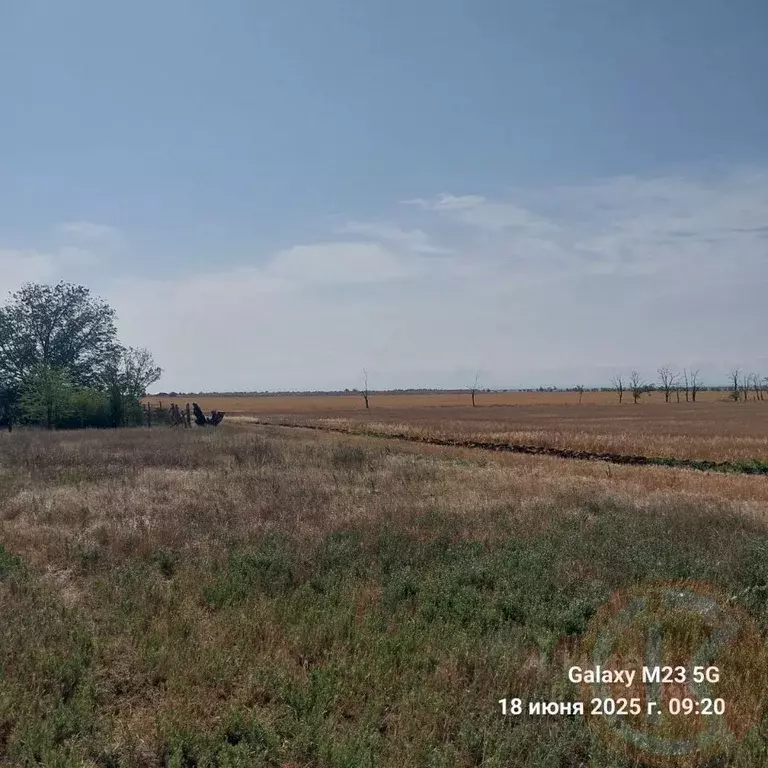 Участок в Крым, Черноморский район, с. Новоивановка  (6.24 сот.) - Фото 0