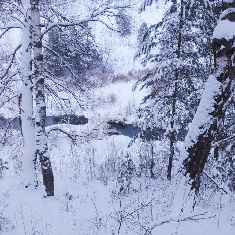 Участок в Московская область, городской округ Коломна, посёлок Михеево ... - Фото 1