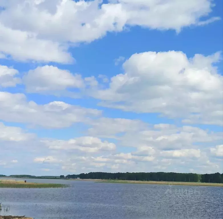 Участок в Новосибирская область, Ордынский район, Новопичуговский ... - Фото 2