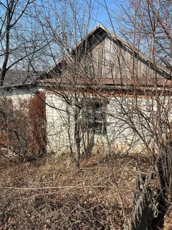 Участок в Амурская область, Благовещенск Светлана СТ,  (10.0 сот.) - Фото 0