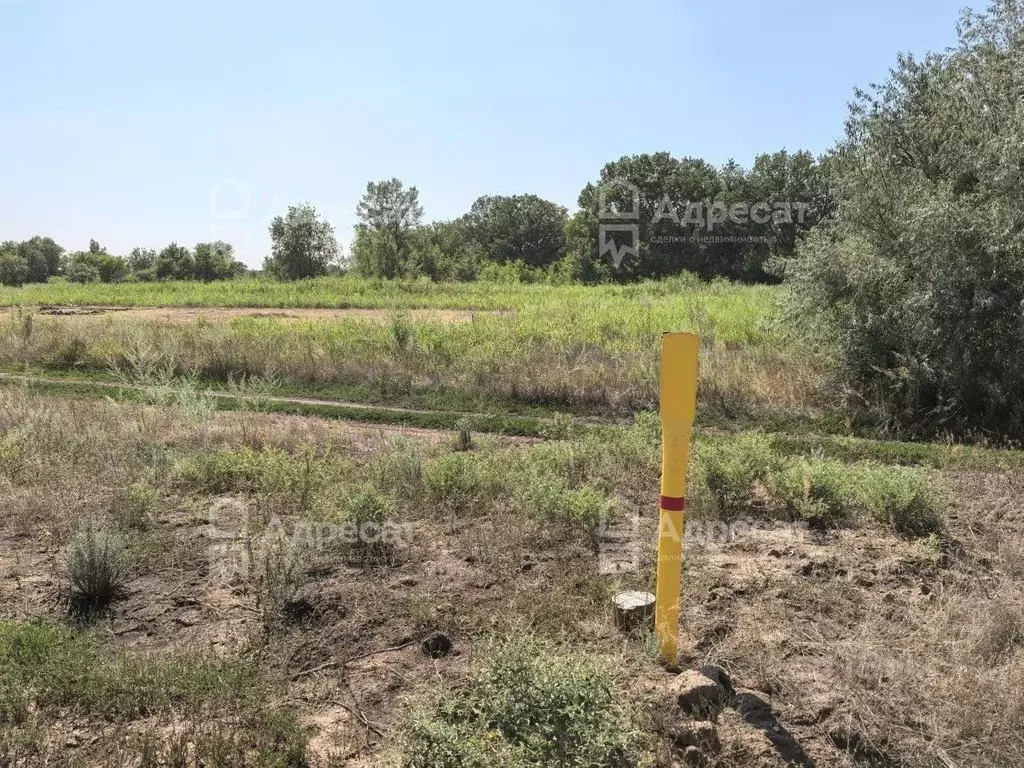 Участок в Волгоградская область, Краснослободск Среднеахтубинский ... - Фото 1