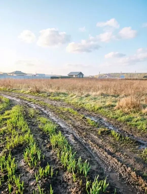 Участок в Московская область, Коломна городской округ, с. Непецино ул. ... - Фото 1