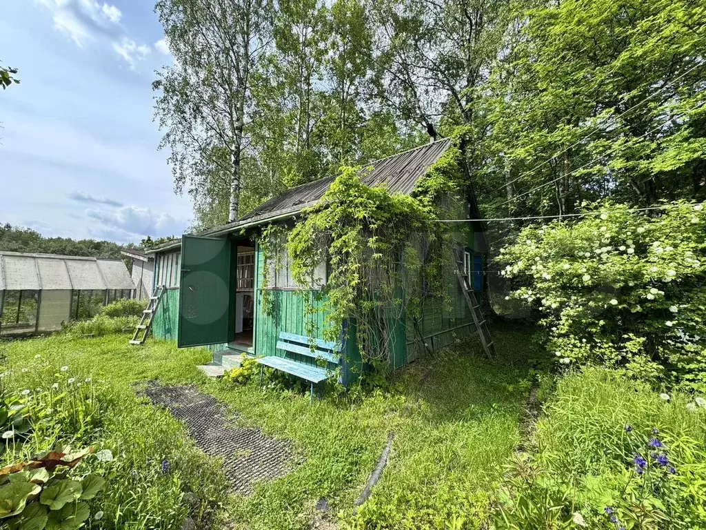 Дача 50 м на участке 12 сот. - Фото 0