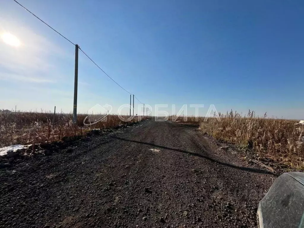 Участок в Тюменская область, Ялуторовский район, с. Бердюгино  (1910.0 ... - Фото 2