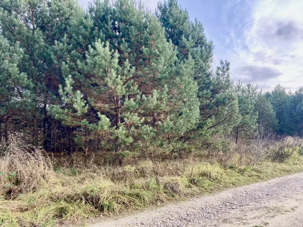 Участок в Тульская область, Заокский район, Страховское с/пос, д. ... - Фото 1