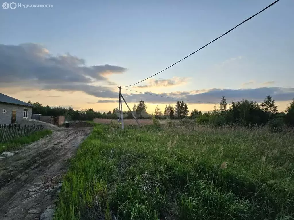 Участок в Тюмень, садовое товарищество Поле Чудес, Кукольный переулок ... - Фото 1
