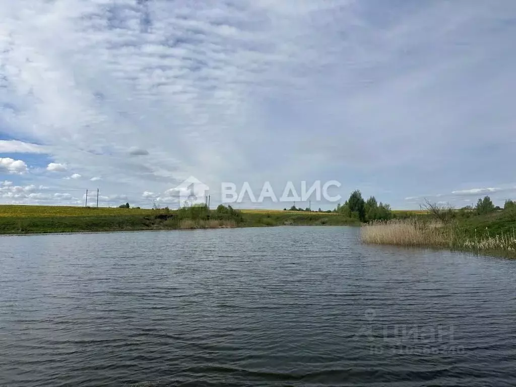 Участок в Владимирская область, Суздальский район, Боголюбовское ... - Фото 0