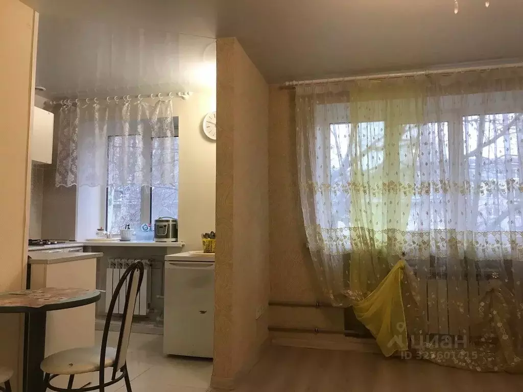 2-к кв. Нижегородская область, Нижний Новгород ул. Бориса Панина, 10А ... - Фото 1