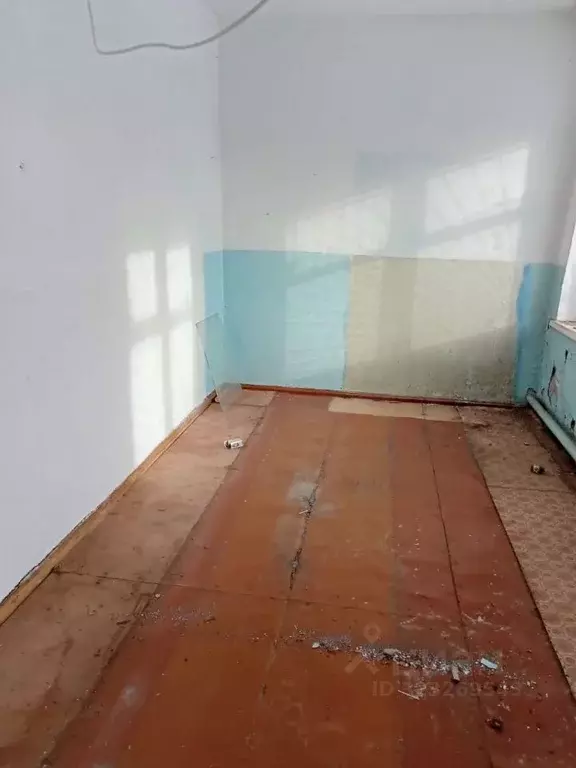 Помещение свободного назначения в Алтайский край, Зональный район, с. ... - Фото 2