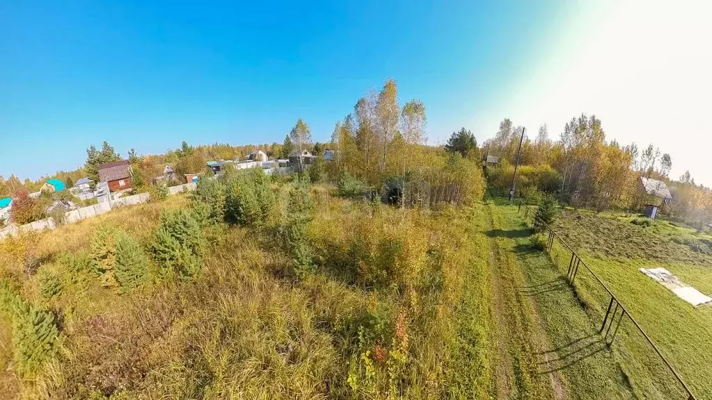 Участок в Тюменская область, Тюменский муниципальный округ, Нива СНТ ... - Фото 1