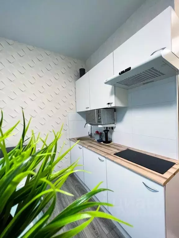 Студия Московская область, Электросталь ул. Николаева, 23 (26.0 м) - Фото 1