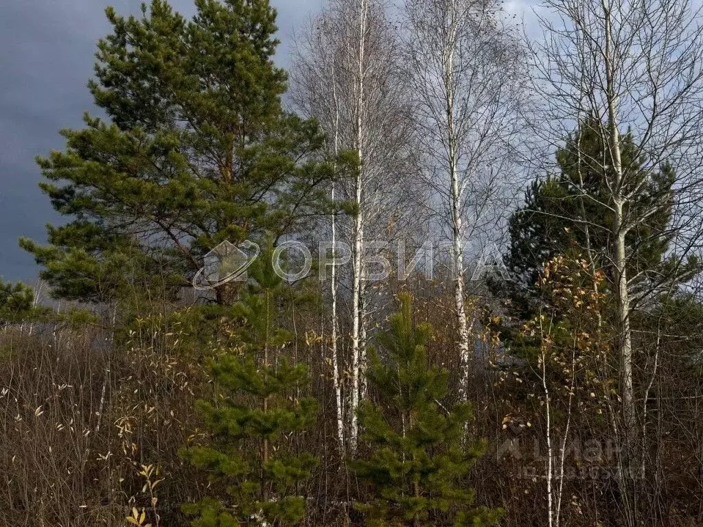 Участок в Тюменская область, Тобольский район, Дегтяревское с/пос, д. ... - Фото 0