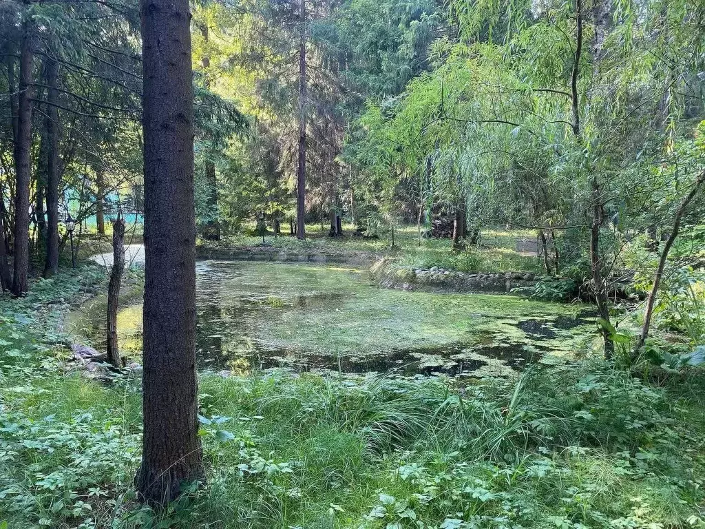 Дом в Московская область, Наро-Фоминский городской округ, д. ... - Фото 0