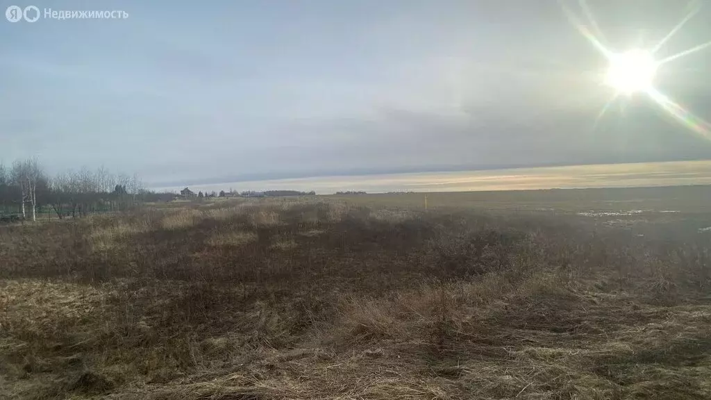 Участок в Суздальский район, муниципальное образование Селецкое, село ... - Фото 1