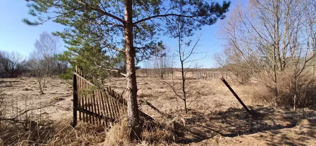 Участок в Московская область, Талдомский городской округ, д. ... - Фото 0