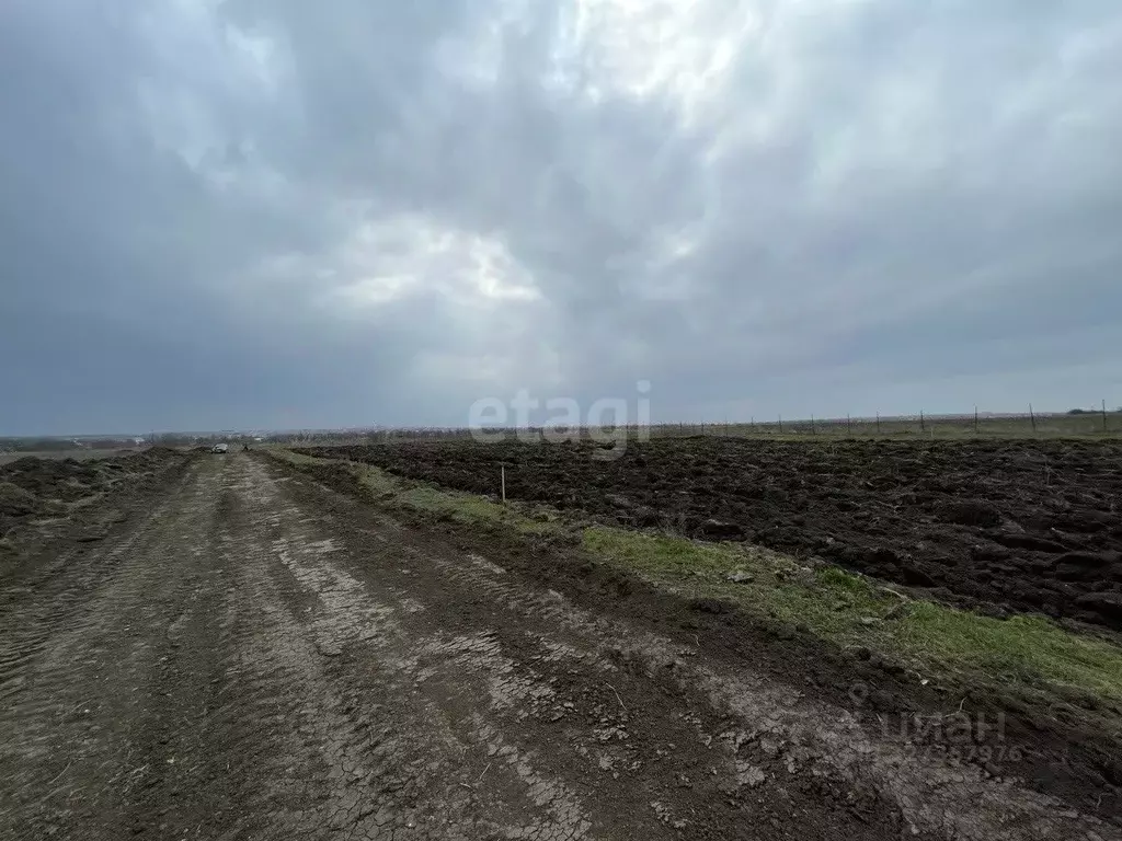 Участок в Краснодарский край, Анапа муниципальный округ, с. ... - Фото 2