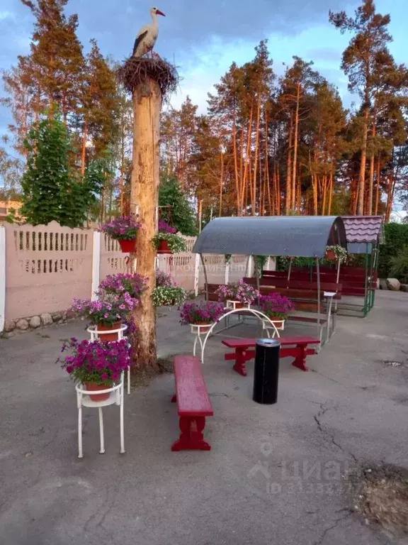 Помещение свободного назначения в Владимирская область, Ковровский ... - Фото 1