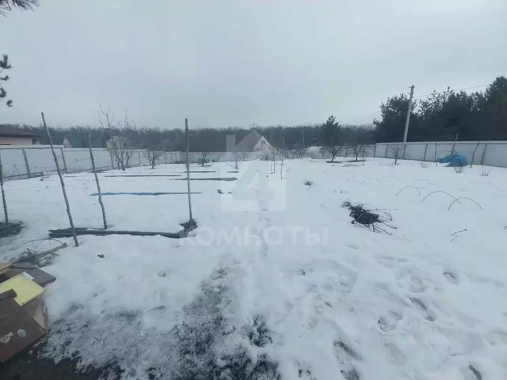 Участок в Воронежская область, Рамонский район, Айдаровское с/пос, ... - Фото 1