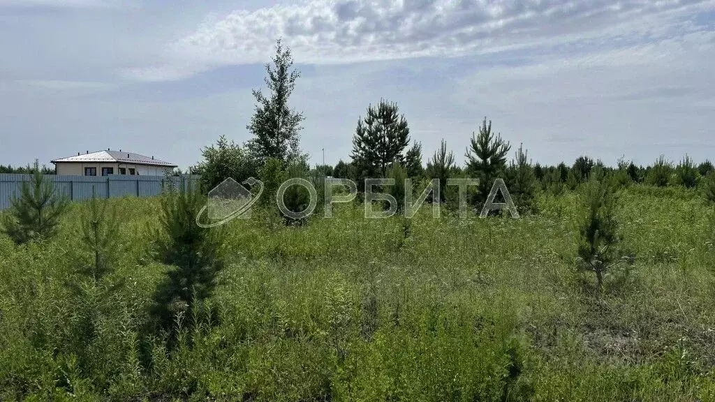 Участок в Тюменская область, Тюменский район, Новокаменский кп ул. ... - Фото 1