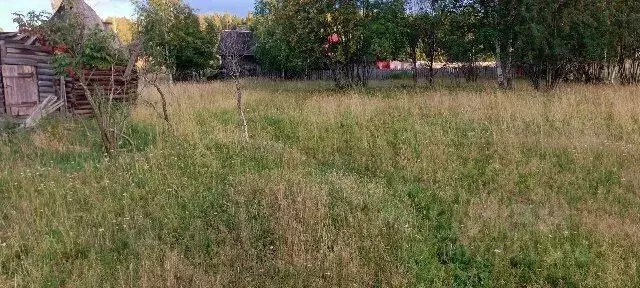 Участок в Свердловская область, Кировградский городской округ, пос. ... - Фото 1