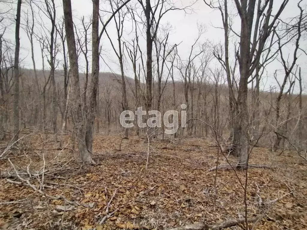 Участок в Приморский край, Владивосток Артековская ул. (12.49 сот.) - Фото 0