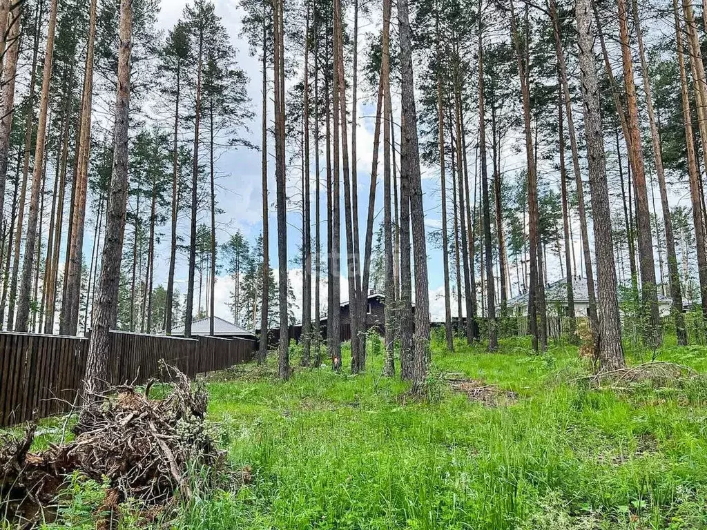 Участок в Свердловская область, Сысерть Сосновый Бор мкр,  (10.0 сот.) - Фото 2