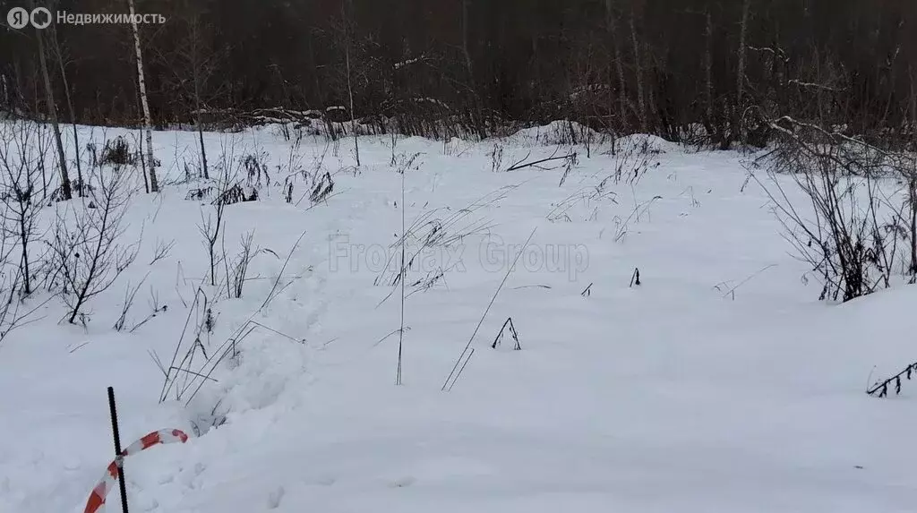 Участок в Московская область, городской округ Пушкинский, деревня ... - Фото 0