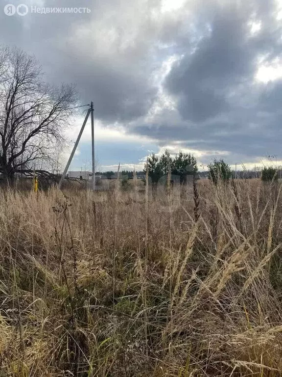 Участок в Ковровский район, муниципальное образование Малыгинское, ... - Фото 2