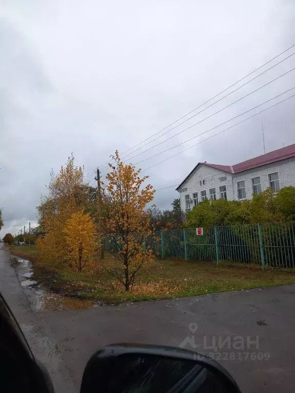 Участок в Воронежская область, Каширский район, Дзержинское с/пос, ... - Фото 1