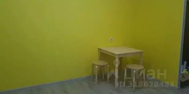 Студия Хакасия, Абакан ул. Некрасова, 23б (31.0 м) - Фото 1