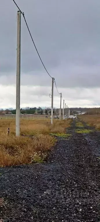 Участок в Калужская область, Жуковский муниципальный округ, Чубарово ... - Фото 2