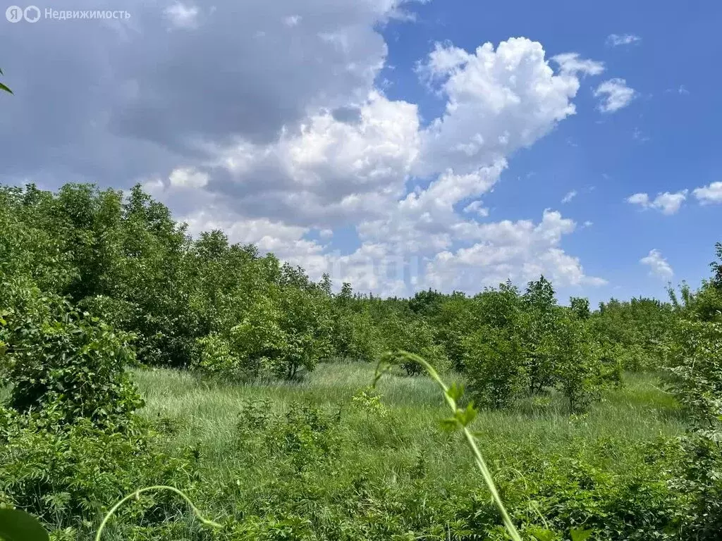 Участок в Краснодар, Карасунский внутригородской округ, микрорайон ... - Фото 0