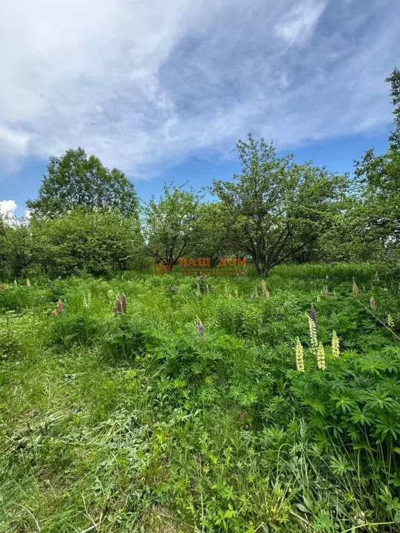 Дом в Тульская область, Веневский муниципальный округ, д. Теребуш ул. ... - Фото 2