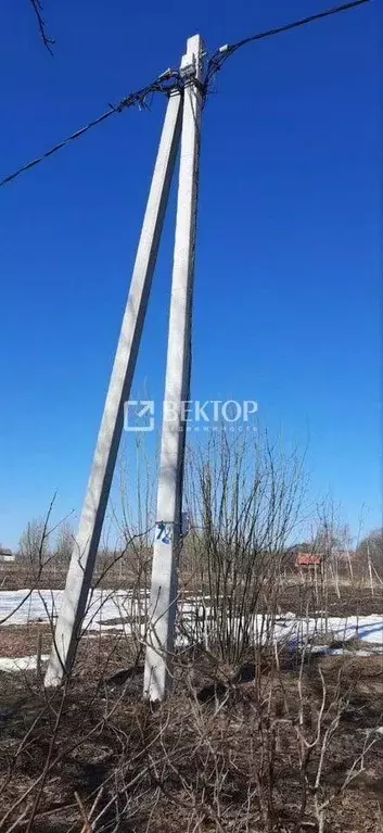 Участок в Владимирская область, Суздальский район, с. Новоалександрово ... - Фото 2