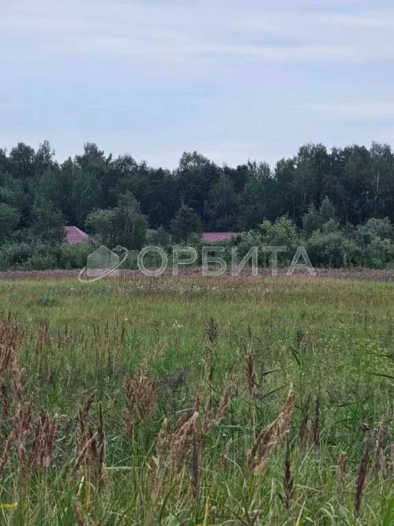 Участок в Тюменская область, Тюменский муниципальный округ, д. Якуши ... - Фото 1