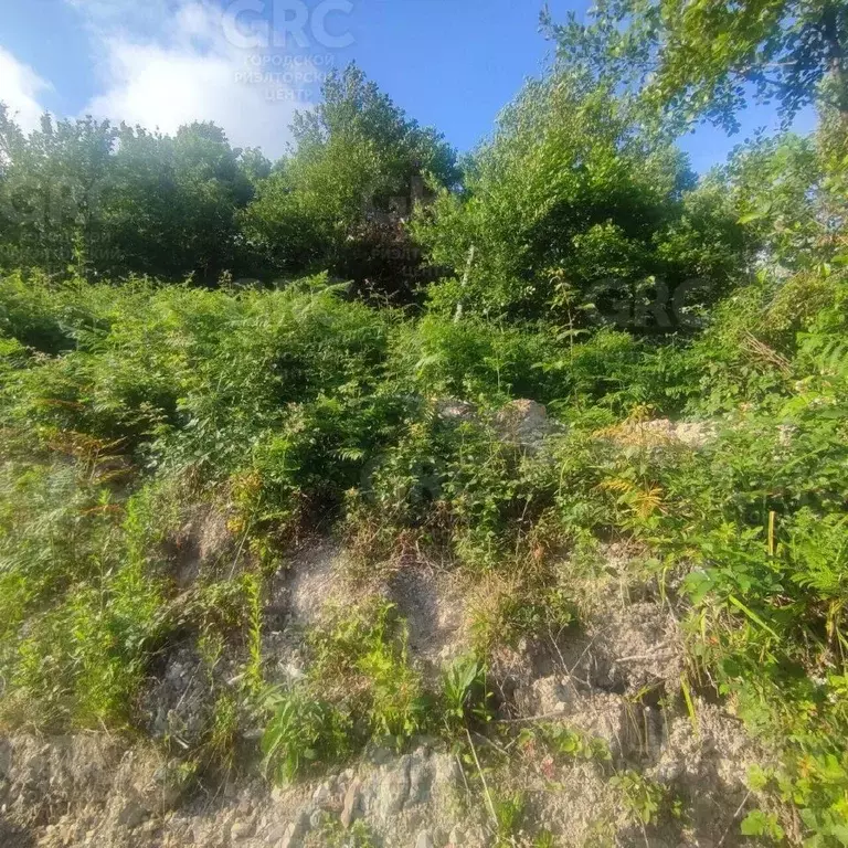 Участок в Краснодарский край, Сочи городской округ, с. Воронцовка ул. ... - Фото 0