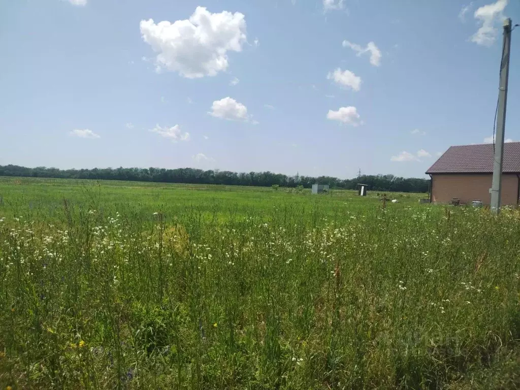 Участок в Адыгея, Майкоп городской округ, пос. Родниковый  (9.03 сот.) - Фото 1