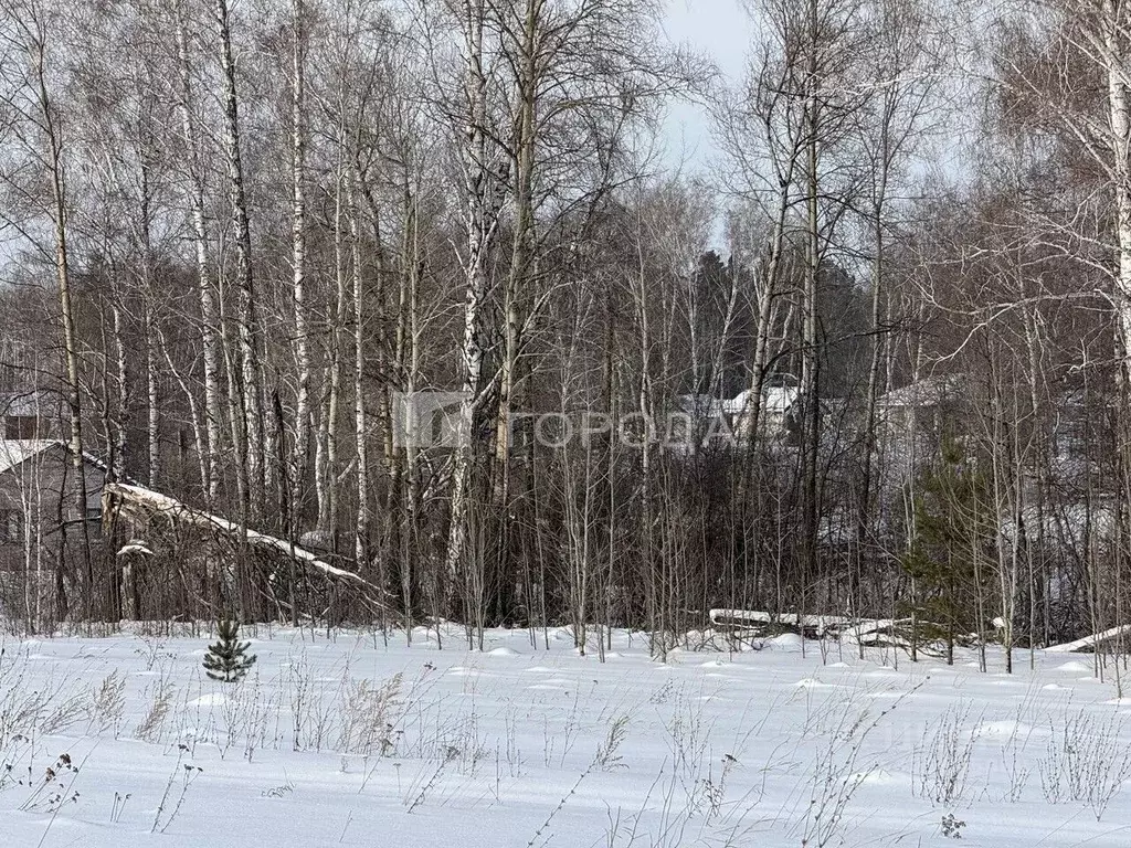Участок в Алтайский край, Первомайский район, с. Фирсово Палитра жилой ... - Фото 2