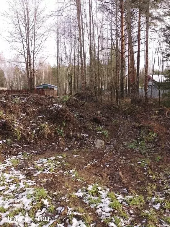 Участок в Всеволожск, Ленинградская улица (12 м) - Фото 0