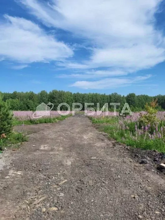 Участок в Тюменская область, Тюменский район, д. Елань 14 (8.0 сот.) - Фото 0