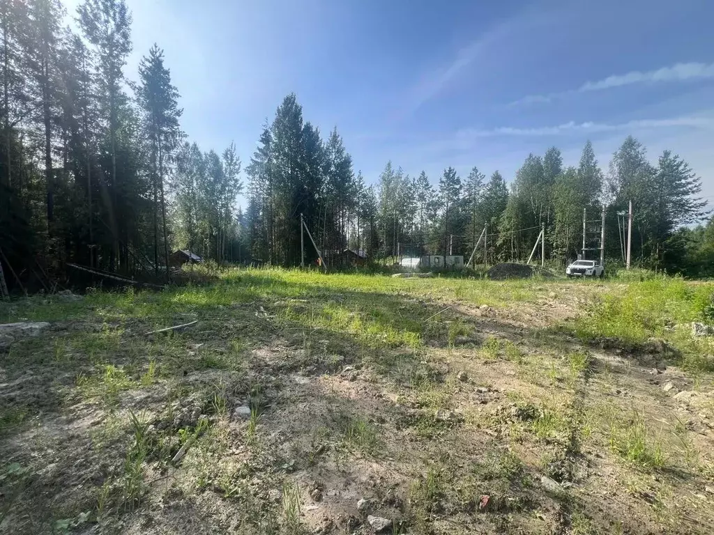 Участок в Ленинградская область, Всеволожск  (14.9 сот.) - Фото 1