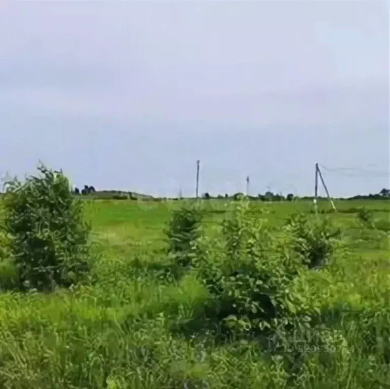 Участок в Волгоградская область, Михайловский район, Карагичевский ... - Фото 1
