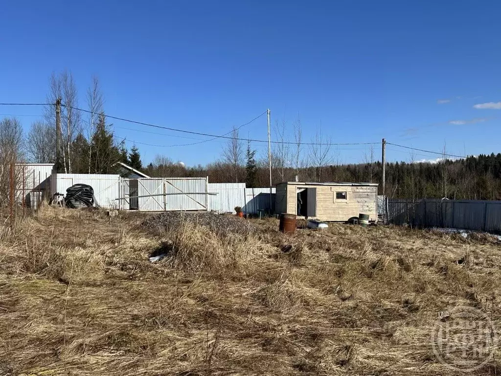 Участок в Ленинградская область, Выборгский район, Первомайское с/пос, ... - Фото 2