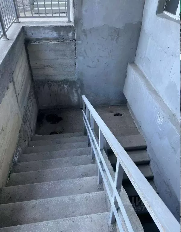 Помещение свободного назначения в Новосибирская область, Новосибирск ... - Фото 2