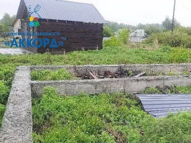 Участок в Алтайский край, Барнаул городской округ, пос. Новомихайловка ... - Фото 1