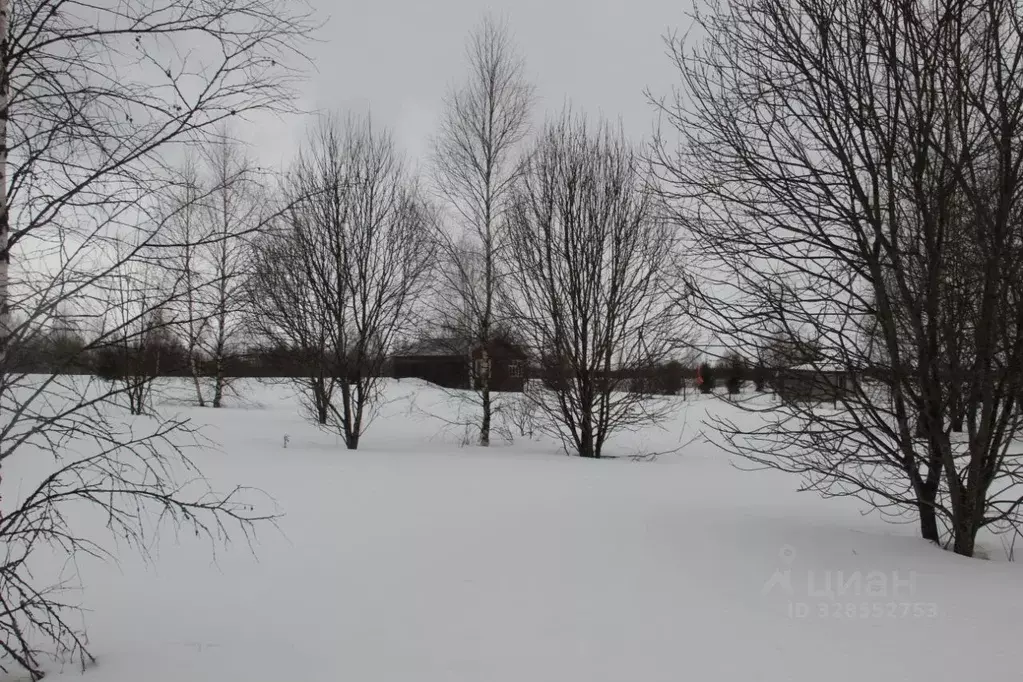Участок в Московская область, Шаховская муниципальный округ, д. ... - Фото 1