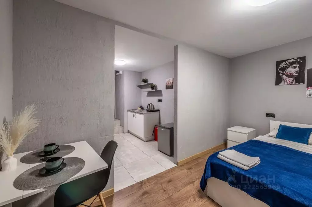 1-к кв. Санкт-Петербург Невский просп., 87/2 (24.0 м) - Фото 2