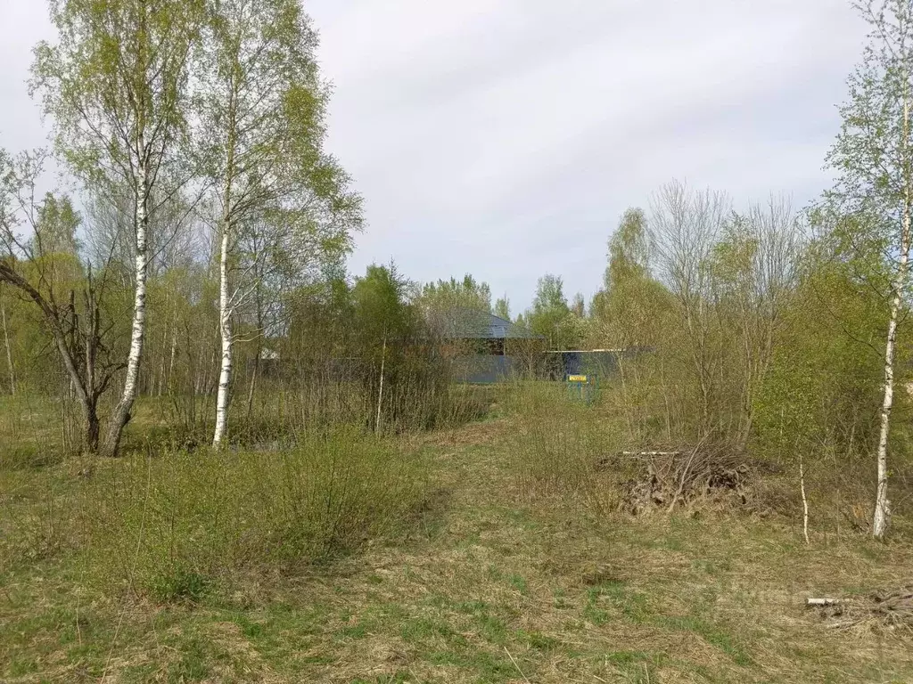 Участок в Тверская область, Кимрский муниципальный округ, д. Клетино  ... - Фото 1
